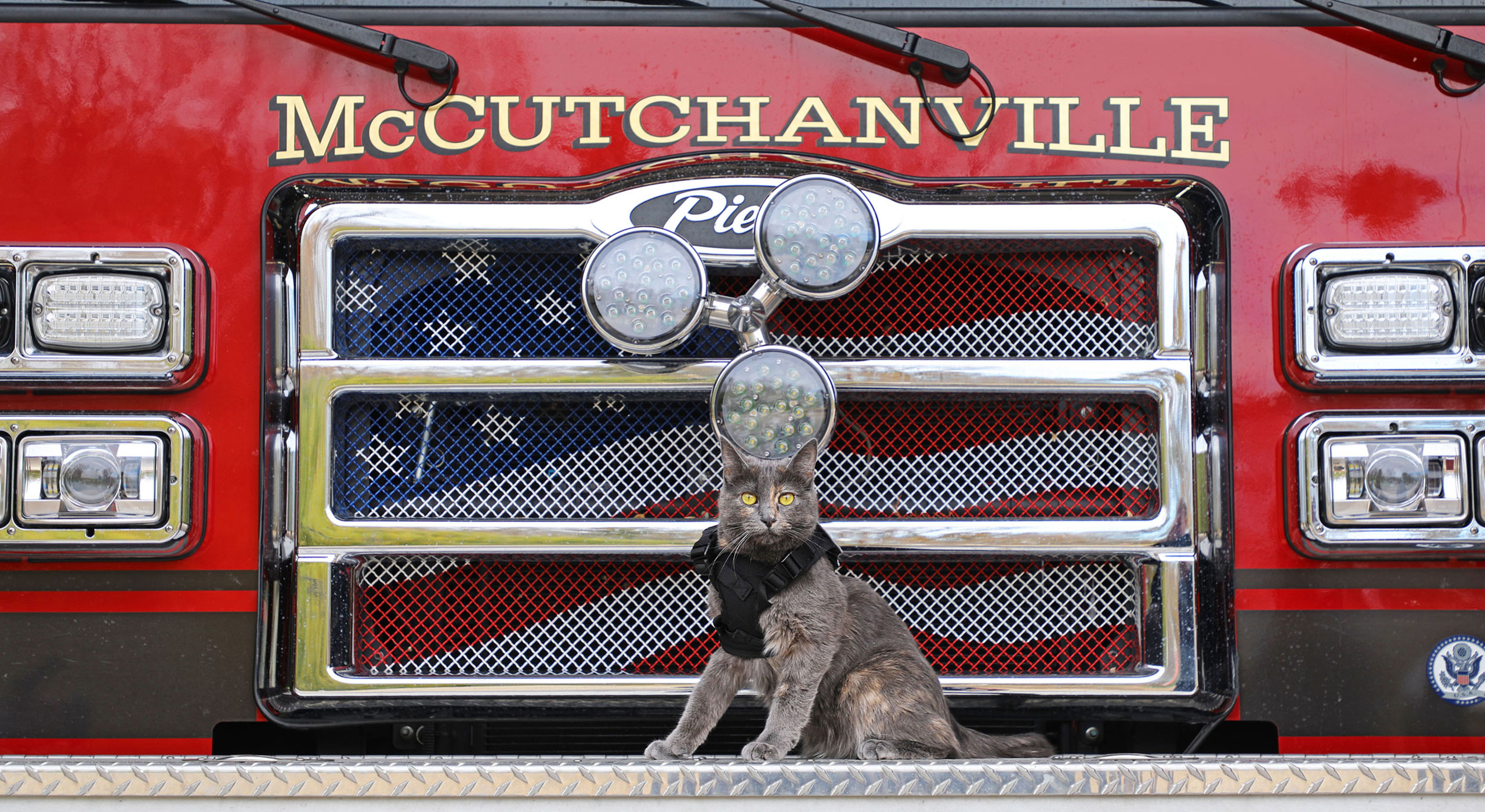 McCutchanville Fire Cat Mascot